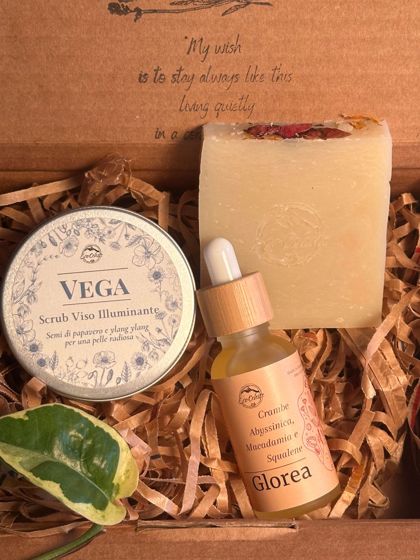 La Routine Completa Viso – Illuminante