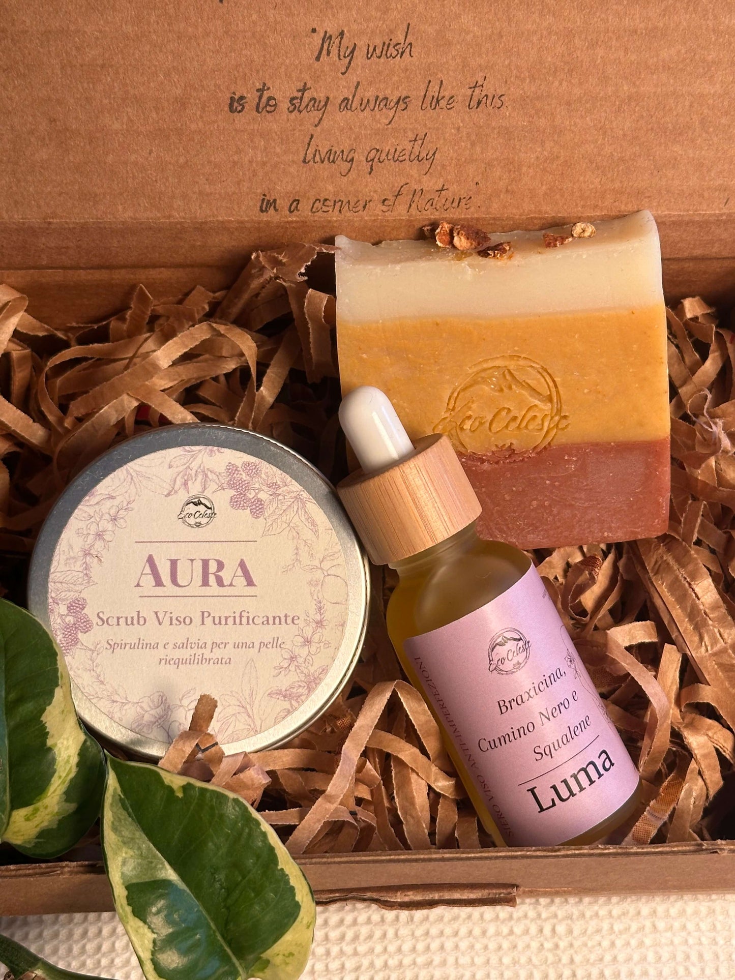 La Routine Completa Viso – Anti-imperfezioni